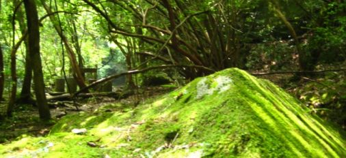 大分市の喫茶店・カフェマップ
