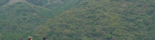 目に見えない輝き