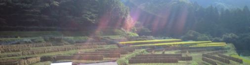 国東の田園風景