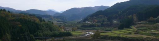 紫草が教えてくれる事