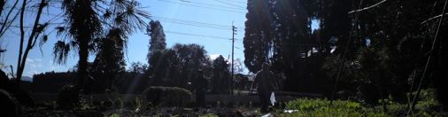 一生懸命やってるか