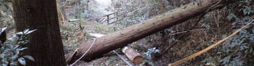 自然と生きるとは