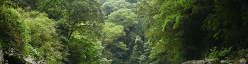 原点に流れる涙