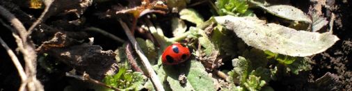 美しいと感じるとき