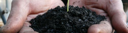 自然を楽しむ事でつながろう