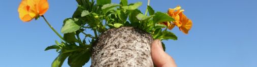 自然と引きあう自然が好きなヒトへ