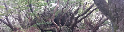 力は入れずに抜く