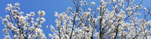 その枠の外から