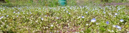 淡々と予感する