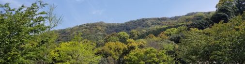 その意味を汲む先に出会す