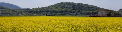 どう生きゆくか