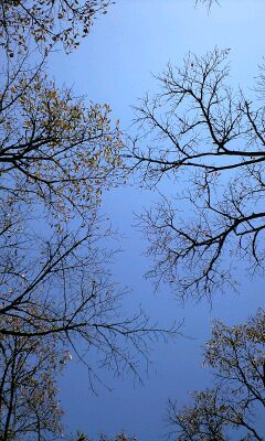 大分竹田直入の空