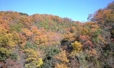 竹田直入の紅葉