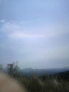 2010041812050000