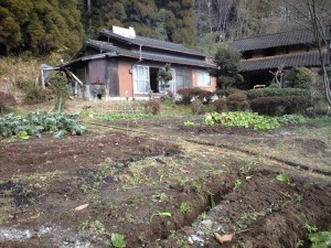 野菜栽培１年