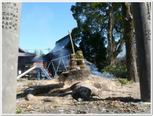 岡神社にて木々への祈り