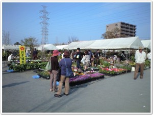 平和公園にて販売する行平園芸さん