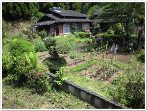 竹田市直入町にある畑