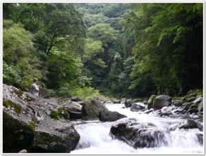 川の流れを感じる