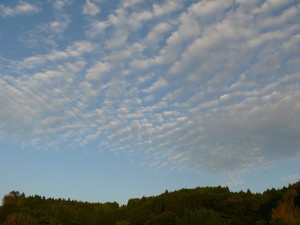 心地よい空