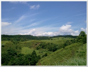 熊本にある幣立