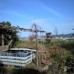 雨水を溜める