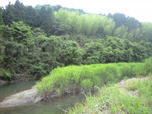 河原内川の空気