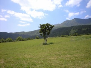 久住連山を眺める