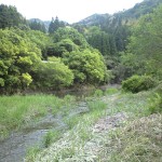 心地よい川の流れを耳に