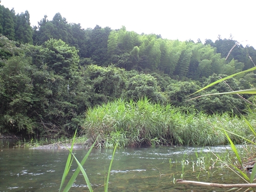 川ビーチ