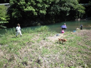 犬も一緒に川遊び