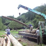 一本一本運び出す