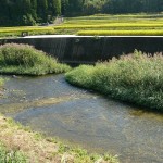 千歳町の茜川