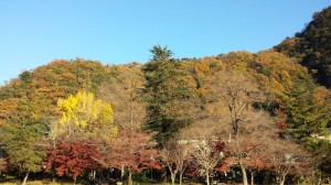 桃太郎公園