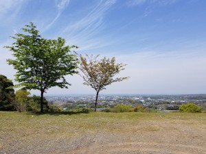 ポカンっと空間